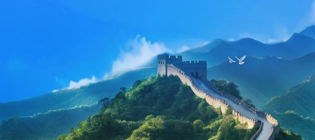 个人所得税与国家税务总局电子税务局会议议程大屏办税实景图